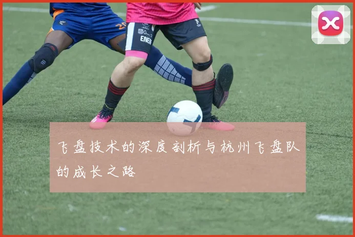 飞盘技术的深度剖析与杭州飞盘队的成长之路