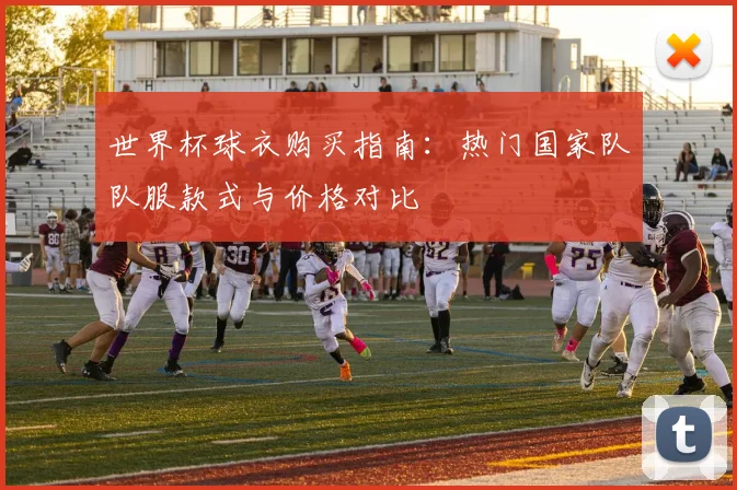 世界杯球衣购买指南：热门国家队队服款式与价格对比