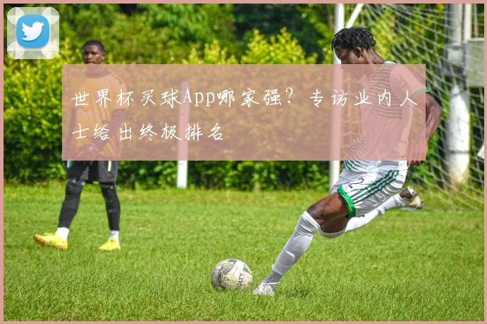 世界杯买球App哪家强？专访业内人士给出终极排名