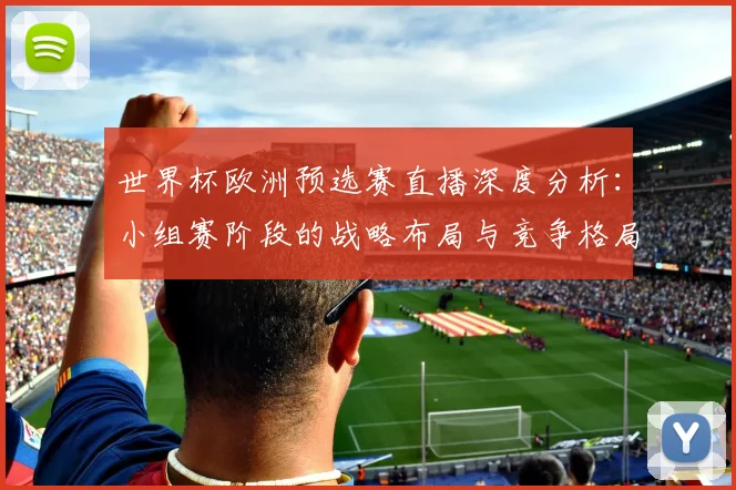 世界杯欧洲预选赛直播深度分析：小组赛阶段的战略布局与竞争格局