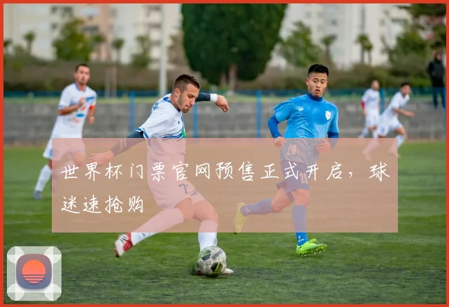 世界杯门票官网预售正式开启，球迷速抢购