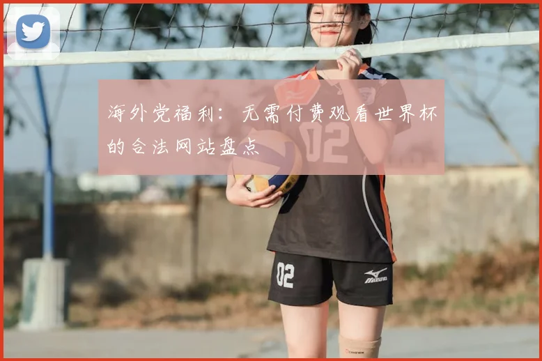 海外党福利：无需付费观看世界杯的合法网站盘点