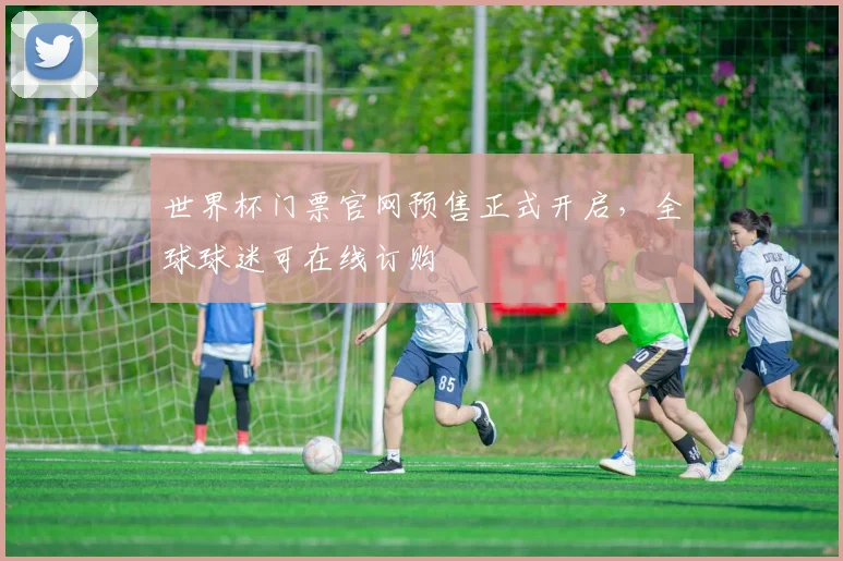 世界杯门票官网预售正式开启，全球球迷可在线订购