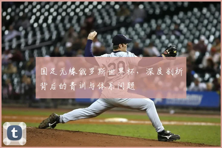 国足无缘俄罗斯世界杯，深度剖析背后的青训与体系问题