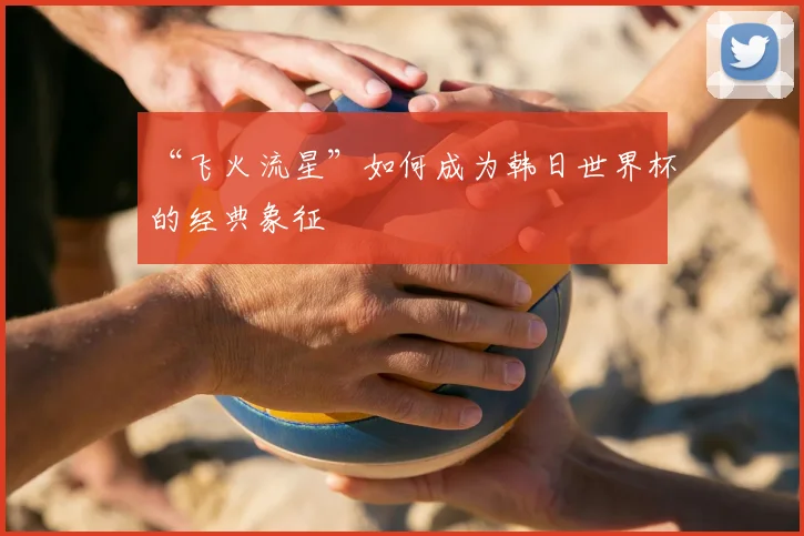 “飞火流星”如何成为韩日世界杯的经典象征