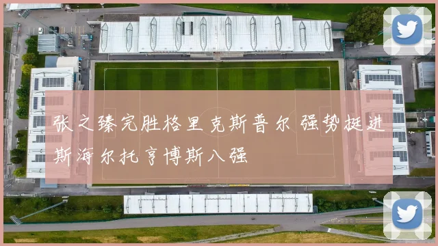张之臻完胜格里克斯普尔 强势挺进斯海尔托亨博斯八强