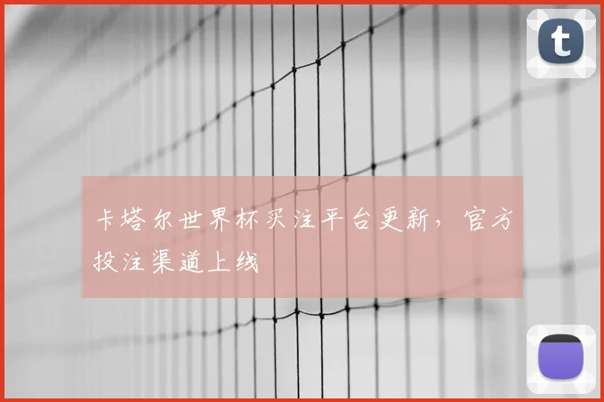 卡塔尔世界杯买注平台更新，官方投注渠道上线