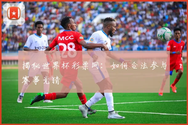 揭秘世界杯彩票网：如何合法参与赛事竞猜
