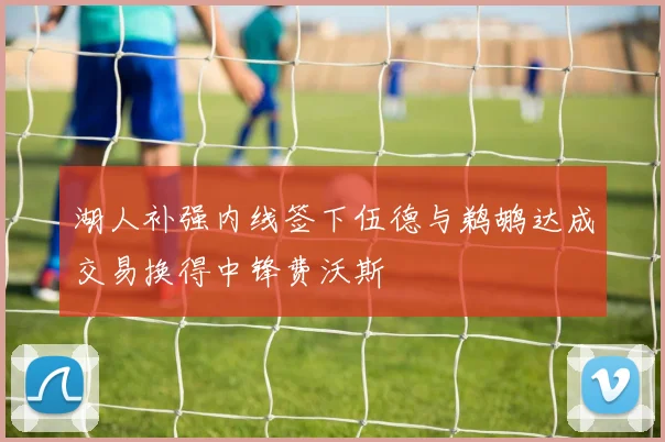 湖人补强内线签下伍德与鹈鹕达成交易换得中锋费沃斯
