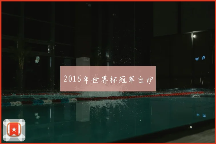 2016年世界杯冠军出炉