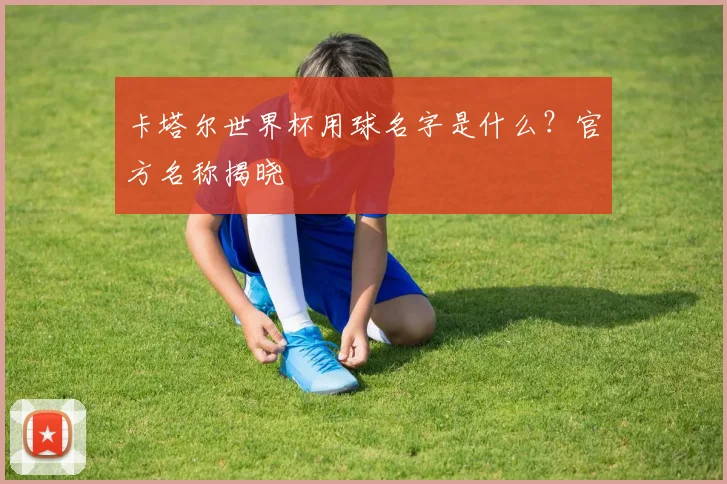 卡塔尔世界杯用球名字是什么？官方名称揭晓