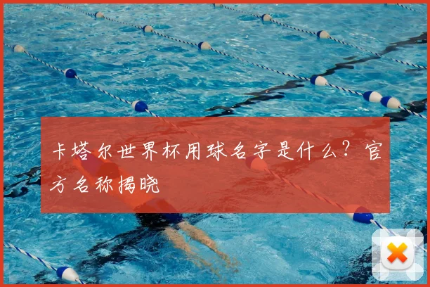 卡塔尔世界杯用球名字是什么？官方名称揭晓